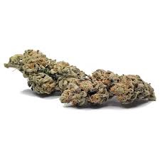 APPLE JACKS THCA HEMP FLOWER / 1 GRAM